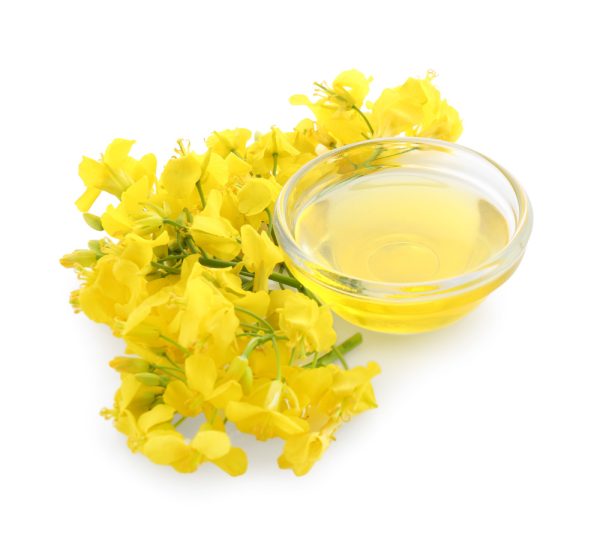 olio di colza