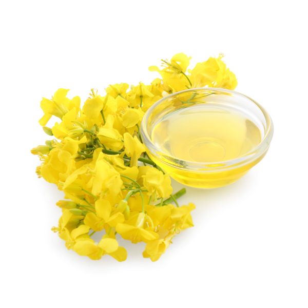 olio di colza