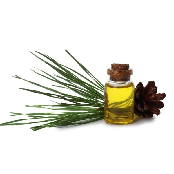 Olio di Pino