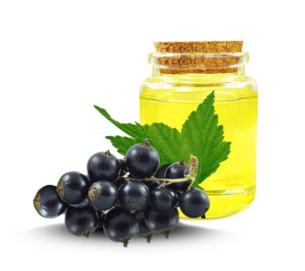 Olio di Ribes