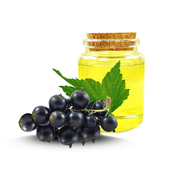 Olio di Ribes